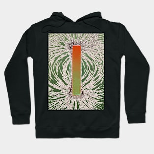 Magnetic field (A230/0105) Hoodie